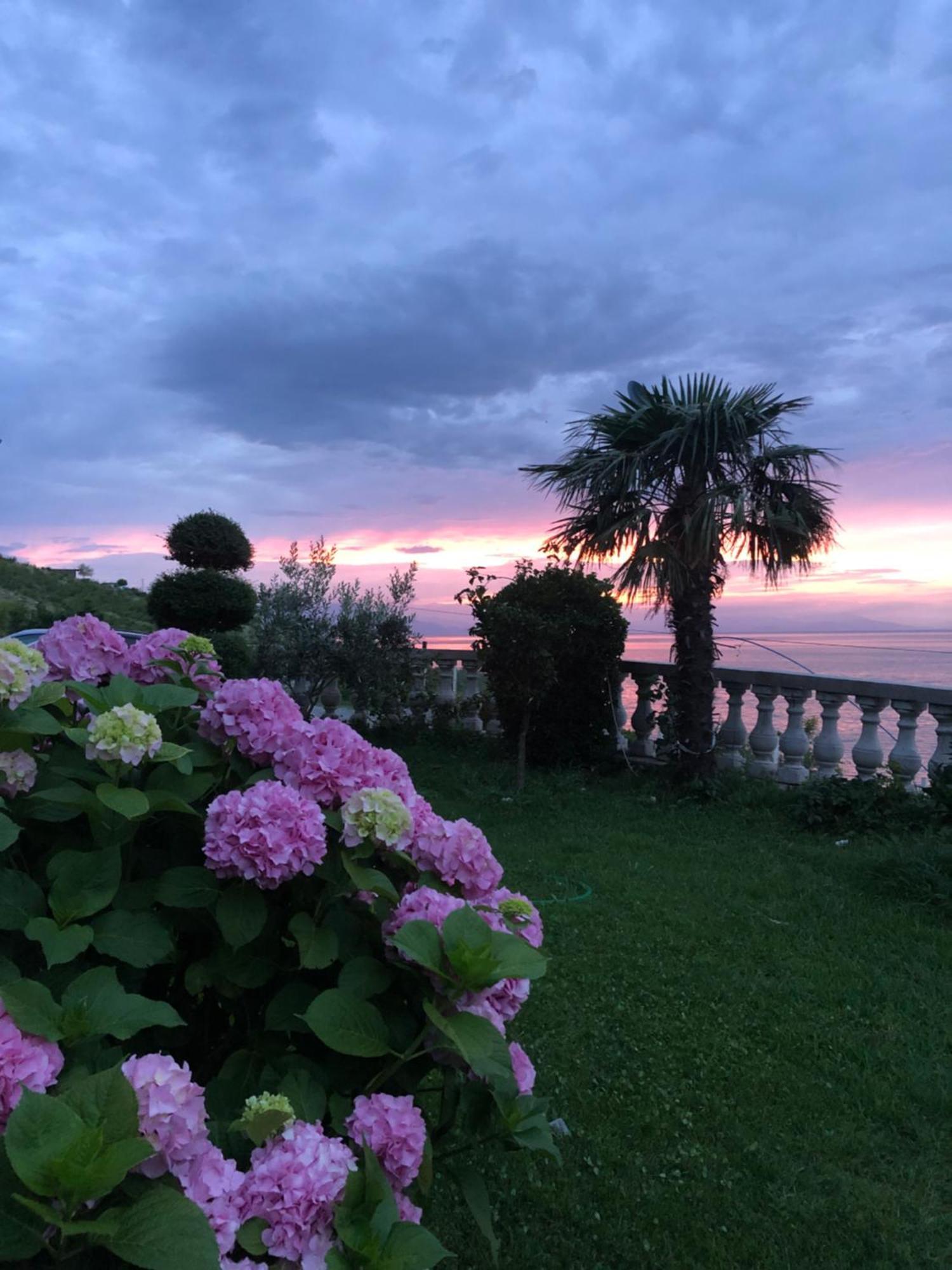 Bella Vista Bed & Breakfast Shkoder Exterior photo